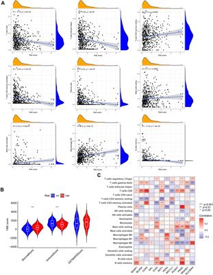 A novel prognostic and therapeutic target biomarker based on necroptosis-related gene signature and immune microenvironment infiltration in gastric cancer